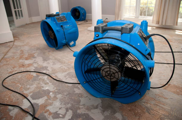 Best Water damage cleanup near me  in Mount Airy, NC
